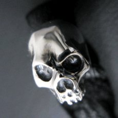 画像1: Zip Skull (1)
